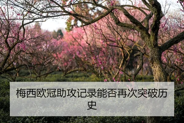 梅西欧冠助攻记录能否再次突破历史